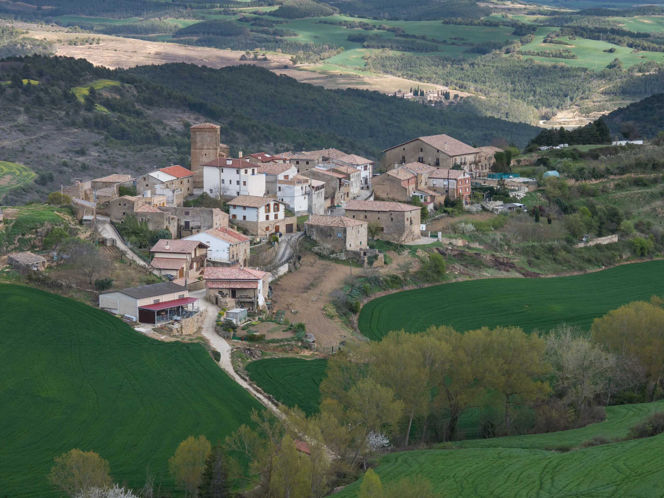 Guirguillano