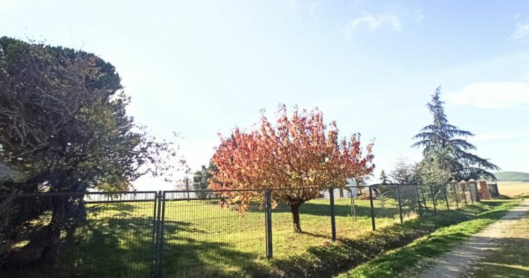 Noáin (Valle de Elorz)/Noain (Elortzibar)